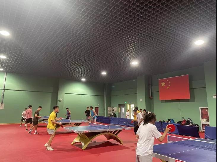 77体育经典图片