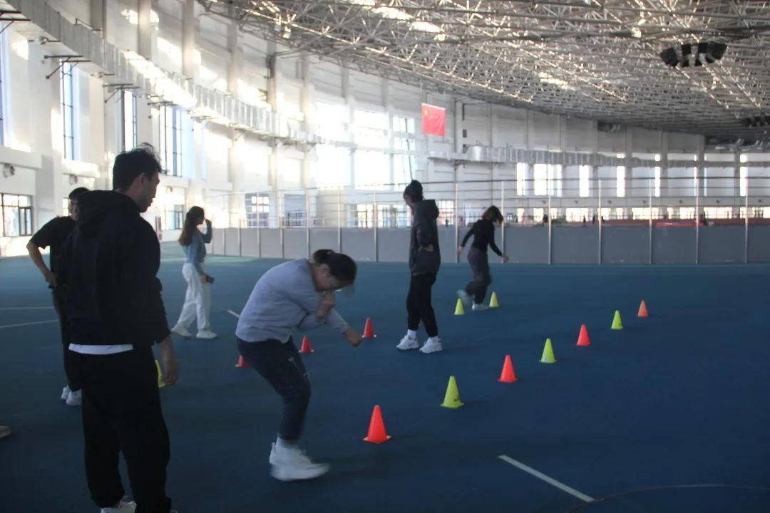 77体育风采图片