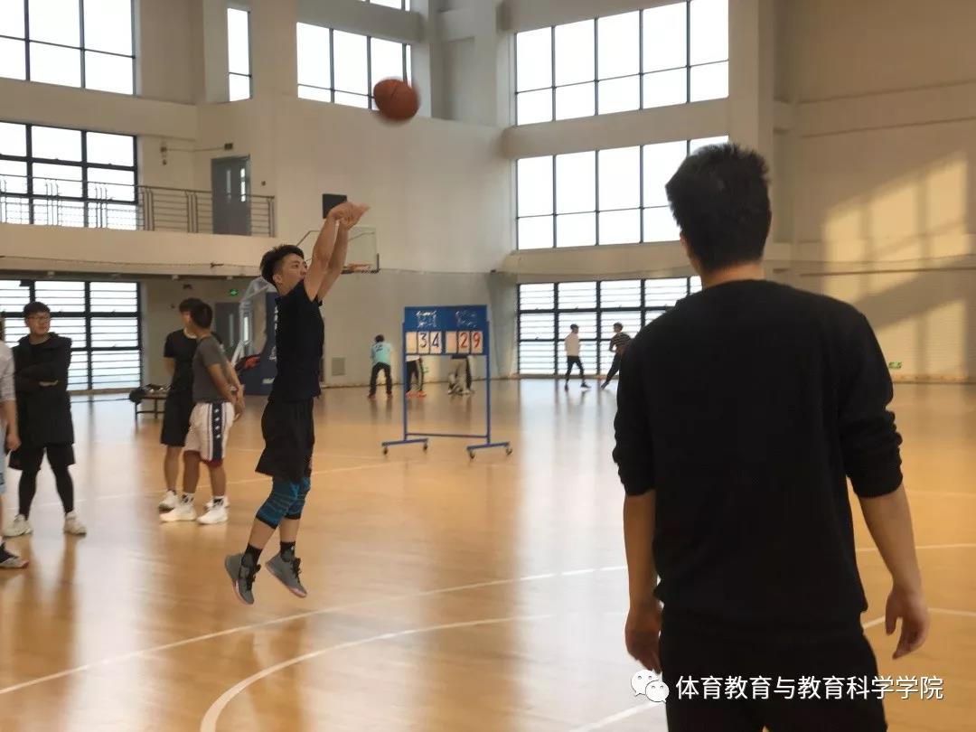 77体育官方网站图片