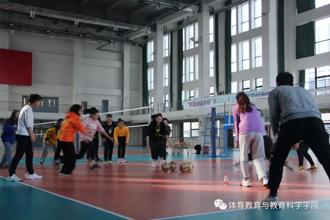 77体育平台图片