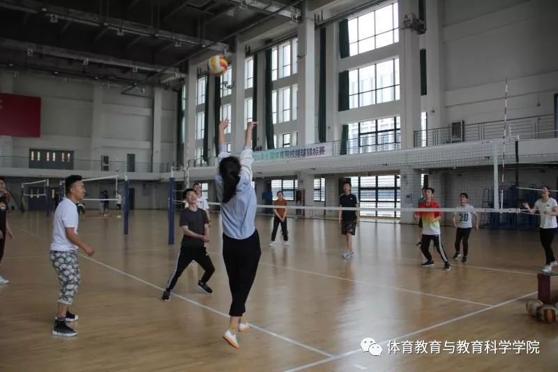 77体育竞技图片