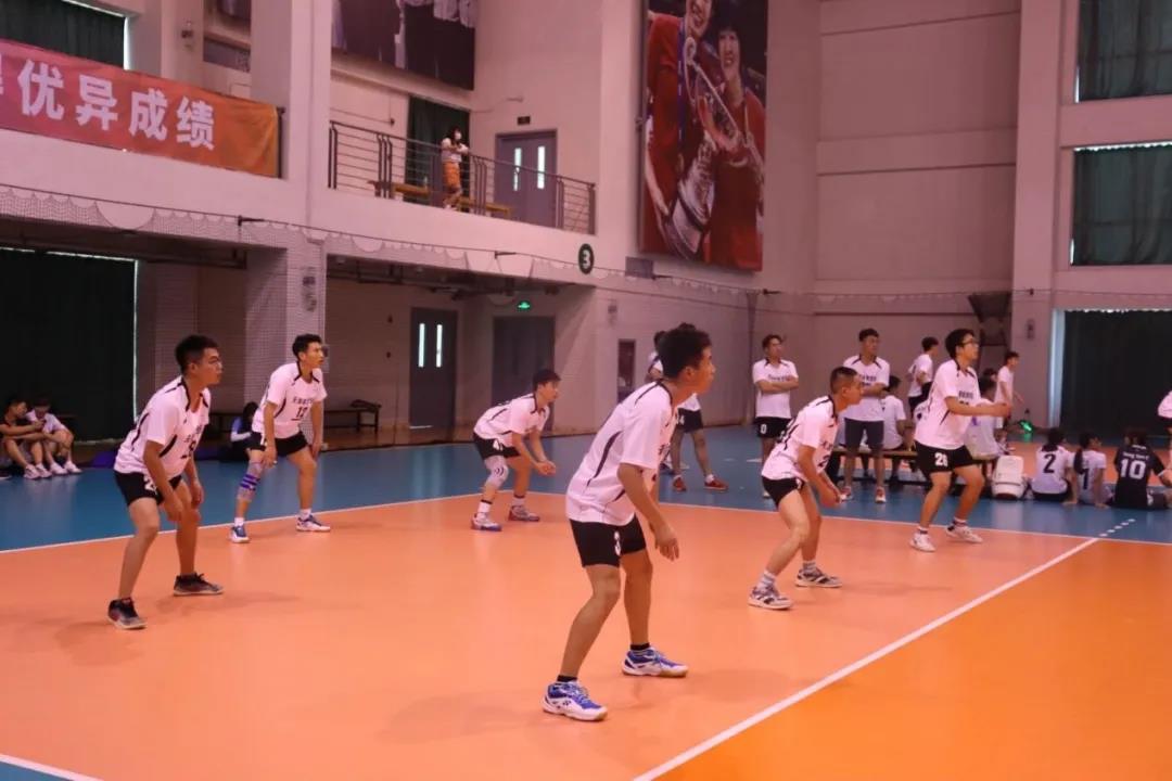 77体育锦标图片
