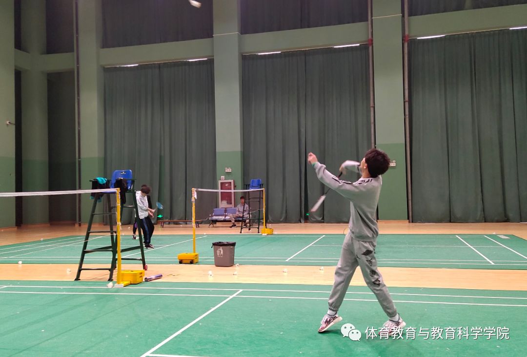77体育官网图片