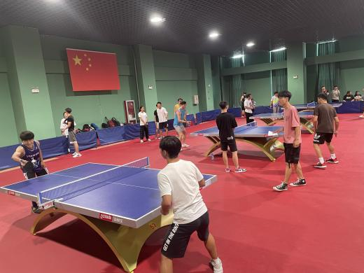 77体育锦标图片