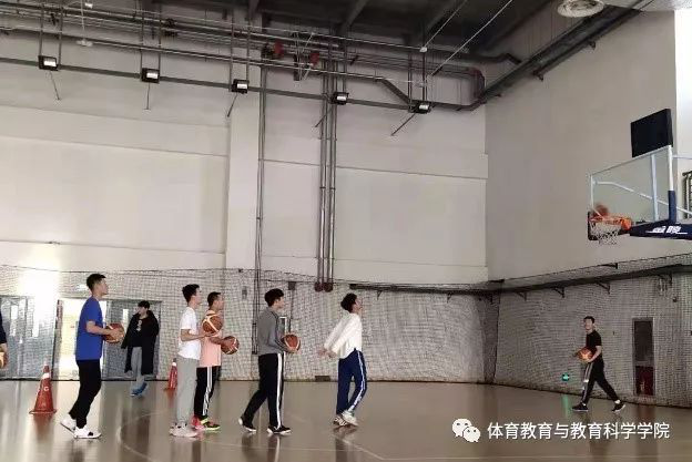 77体育锦标图片