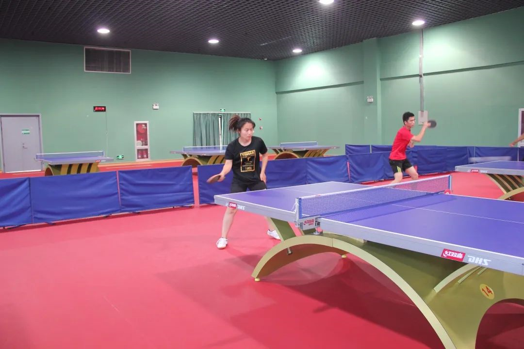 77体育官方网站图片