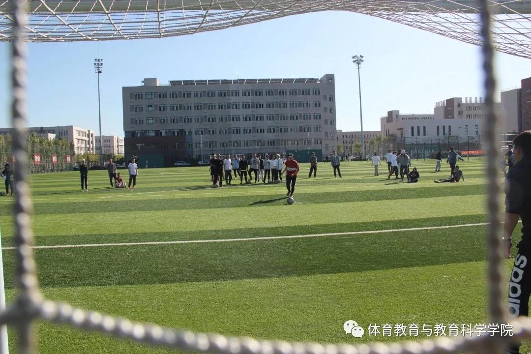 77体育平台图片