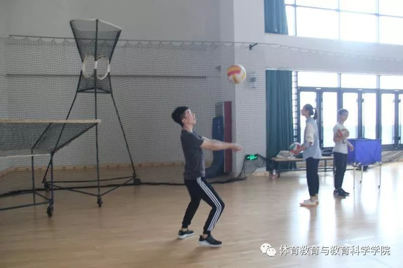 77体育杯赛图片
