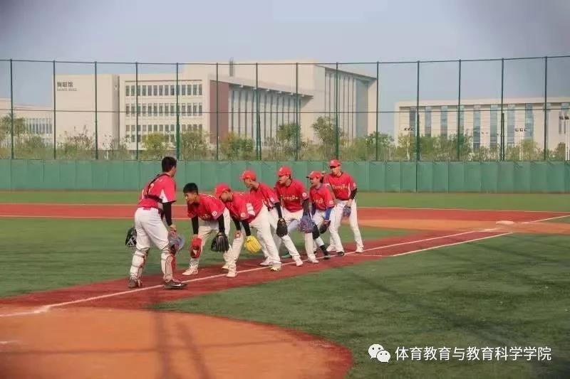 77体育杯赛图片