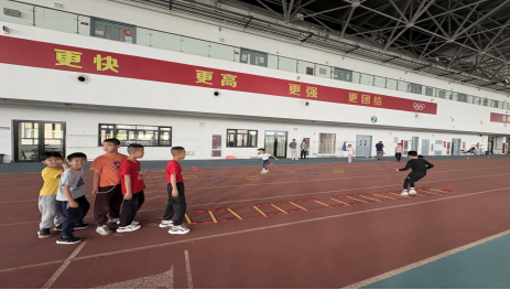 77体育冠军图片