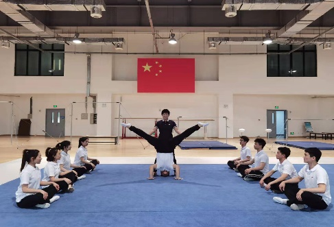 77体育动态图片