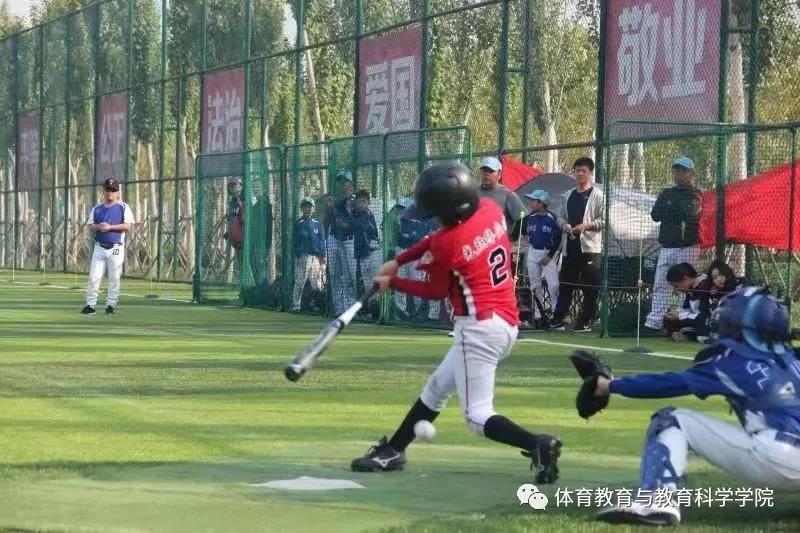 77体育官网图片