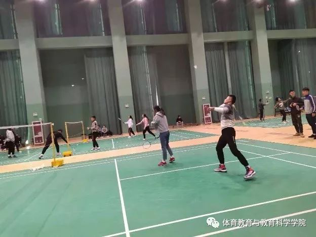 77体育平台图片