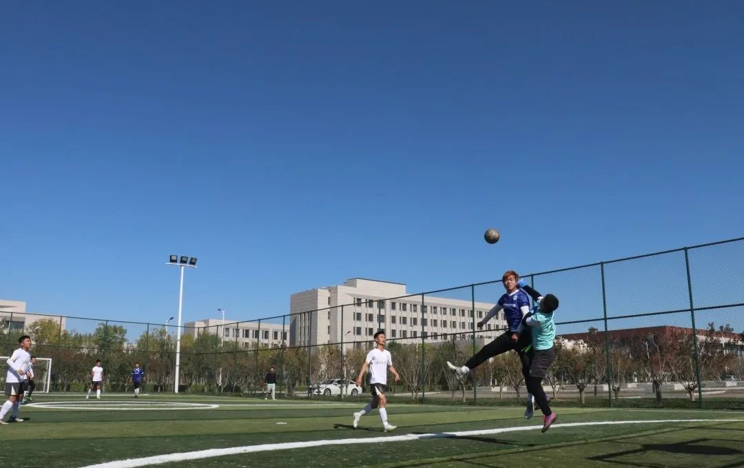 77体育动态图片