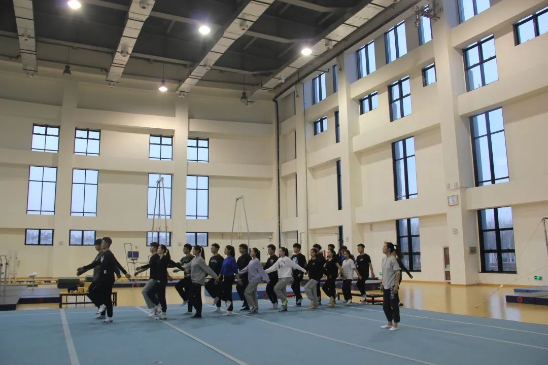 77体育官网图片