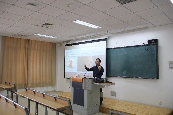 77体育竞技图片