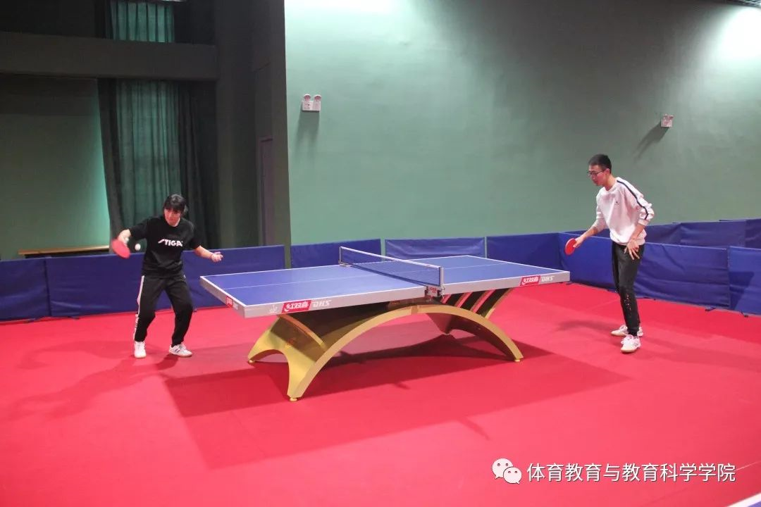 77体育杯赛图片